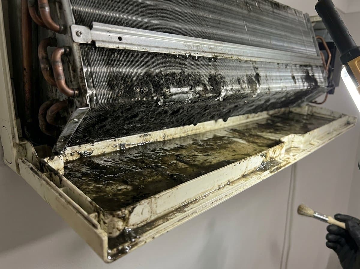 AC drain tray and coil before and after cleaning and sanitising, mould and biofilm removed