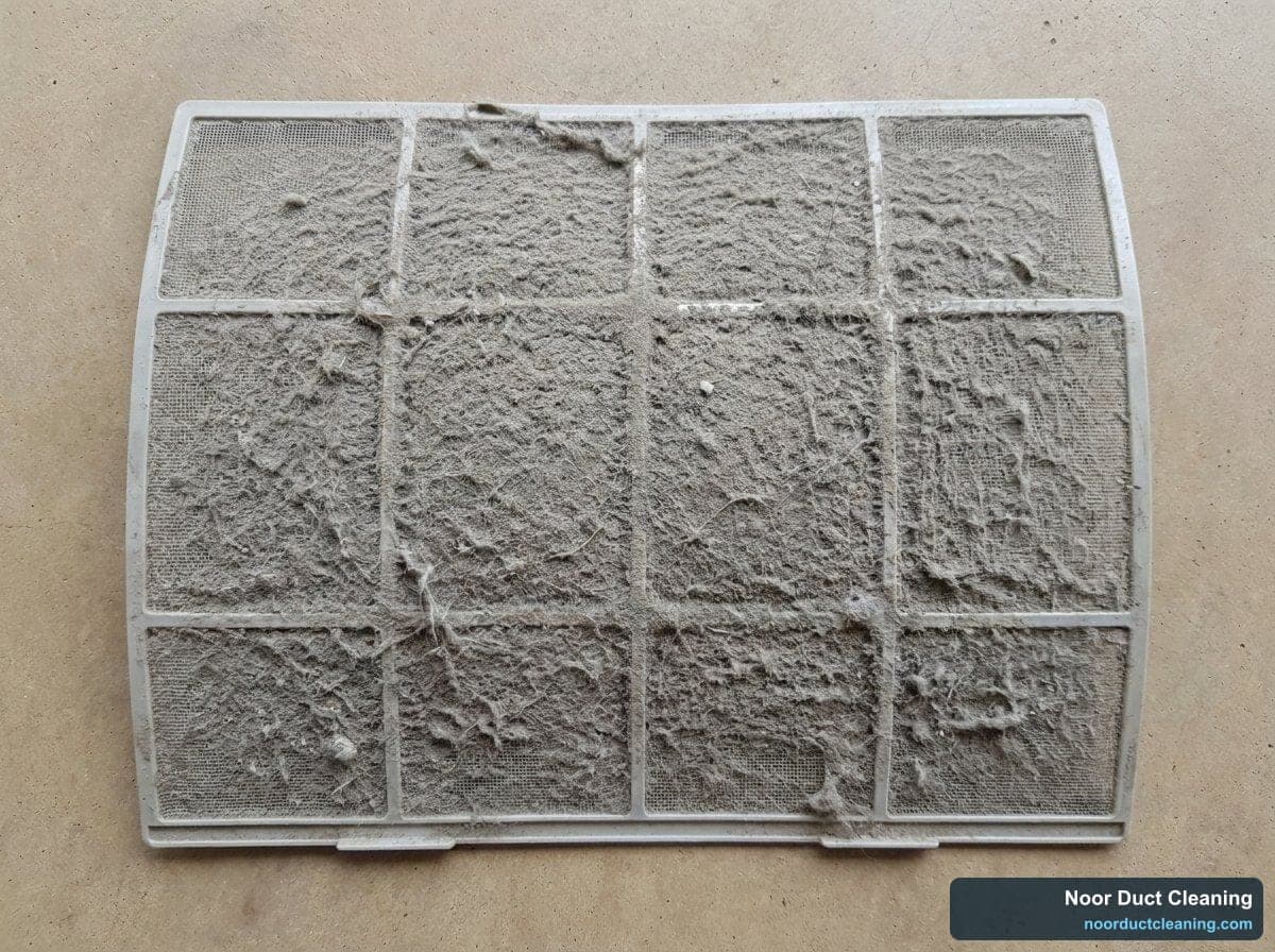 AC filter before and after washing, dust and lint cleared for better airflow